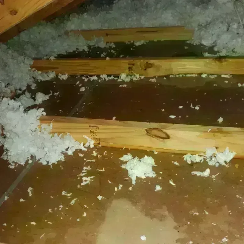 Attic Water Damage in Olla, LA